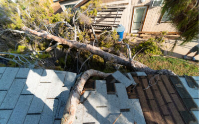 Preventive Maintenance: How to Prevent Storm Damage to Your Roof