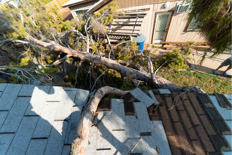 Preventive Maintenance: How to Prevent Storm Damage to Your Roof
